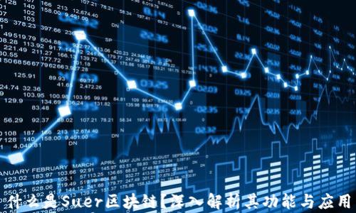 
什么是Suer区块链？深入解析其功能与应用