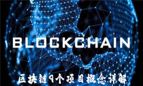 
区块链9个项目概念详解