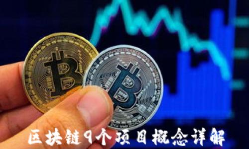
区块链9个项目概念详解