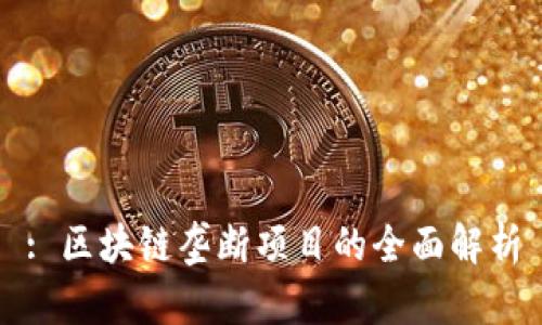 : 区块链垄断项目的全面解析