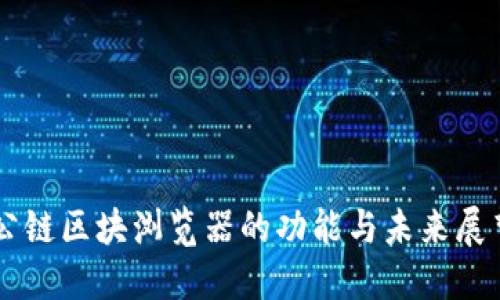 公链区块浏览器的功能与未来展望