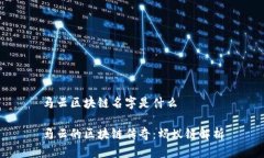 马云区块链名字是什么马云的区块链传奇：蚂蚁