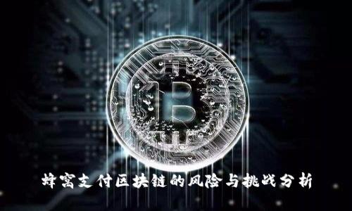 蜂窝支付区块链的风险与挑战分析