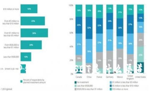 : TP钱包中的USDT是什么渠道？
