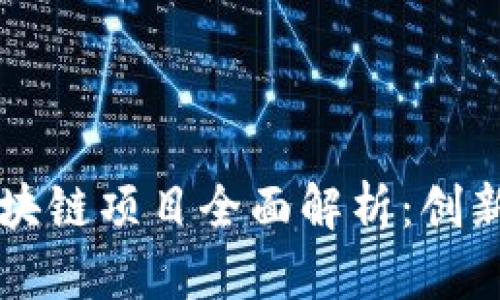 中国区块链项目全面解析：创新与实践