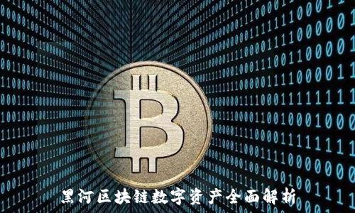  
黑河区块链数字资产全面解析