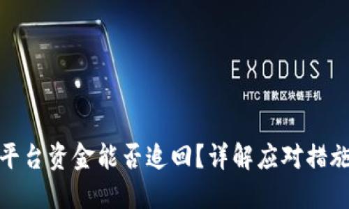 TP钱包钓鱼平台资金能否追回？详解应对措施与预防策略