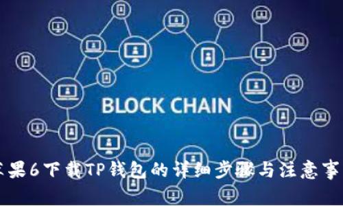 苹果6下载TP钱包的详细步骤与注意事项